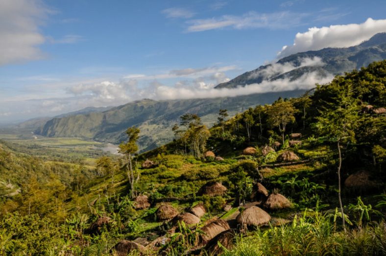 Ekspedisi Papua