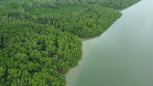 Kekayaan hayati Papua