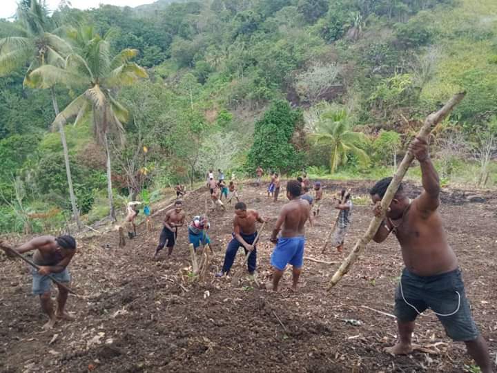 Desa Tradisional di Papua dan Sistem Pertanian Lokal
